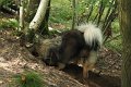 filou 20 (6)